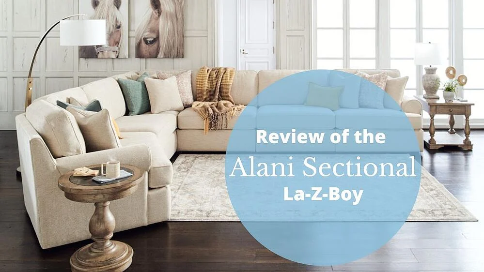 Review of the LaZBoy Alani Stationary Sectional LaZBoy of Ottawa